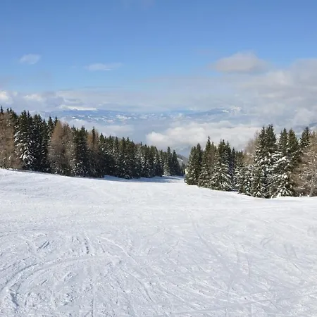 Almliebe-feriendorf Koralpe 別荘 *