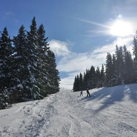 Almliebe-feriendorf Koralpe