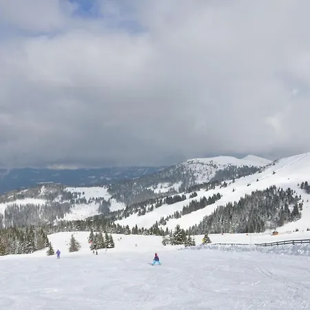 Almliebe-feriendorf Koralpe Elsenbrunn